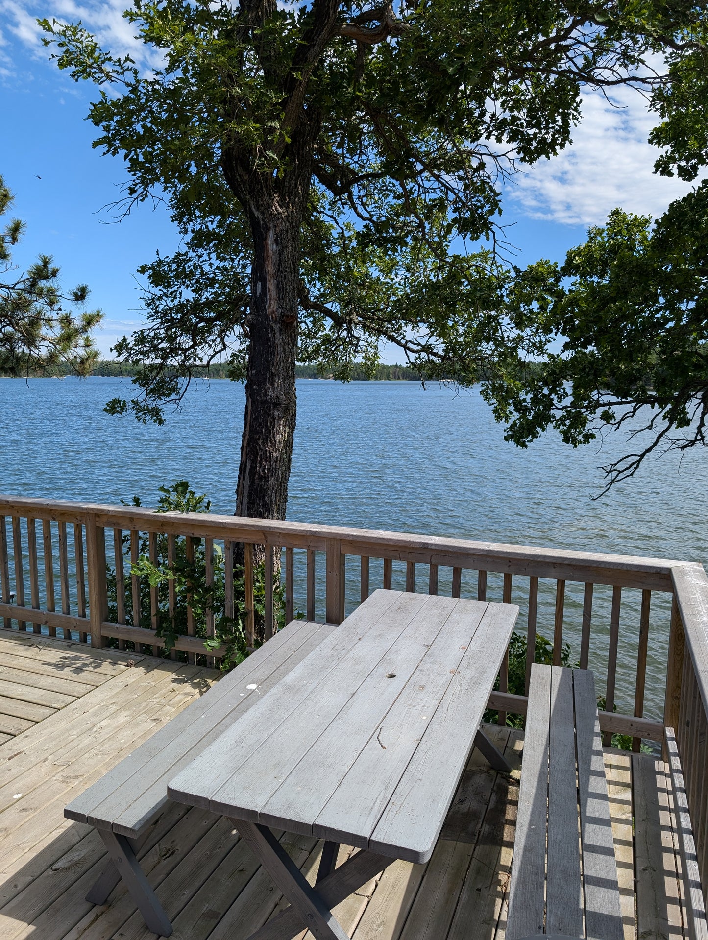 Cabin #2 - 2 Bedroom - Sat May 16 to Sat May 23, 2026