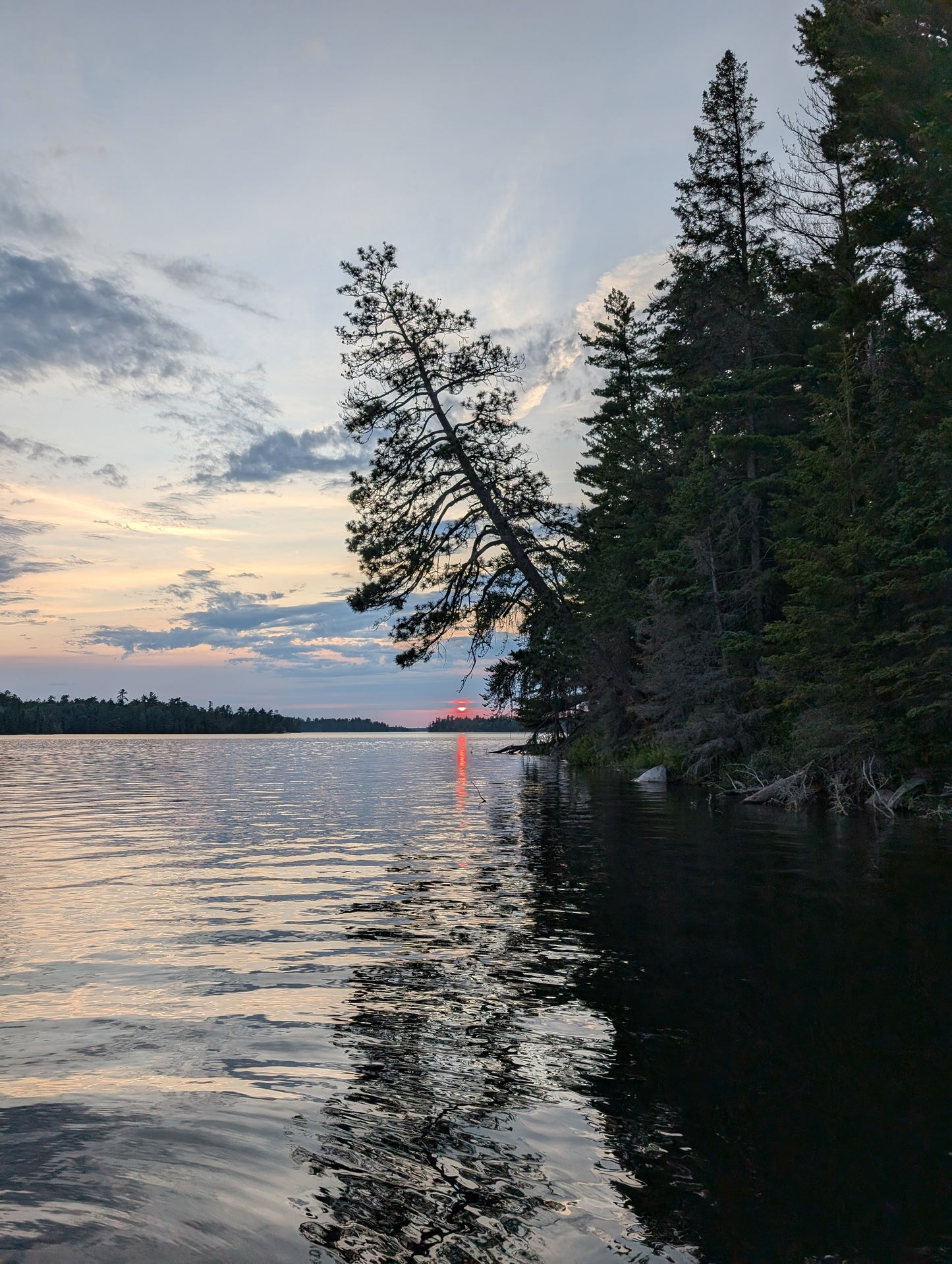 Cabin #7 - 1 Bedroom - Sat May 30 to Sat Jun 6, 2026